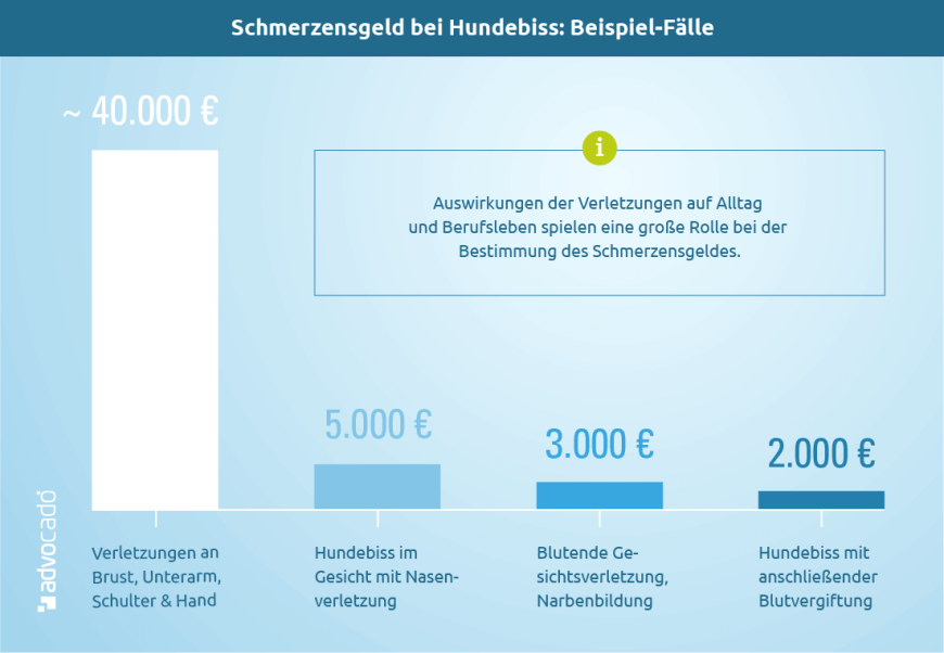 Infografik: Beispiel-Fälle: So viel Schmerzensgeld erhalten Sie bei einem Hundebiss.