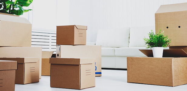 Räumungsklage erfolgreich durchsetzen: Expertenrat & Hilfe