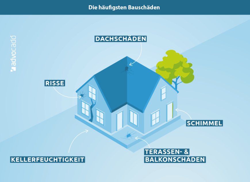 Infografik: Was sind die häufigsten Bauschäden?