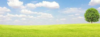 Betriebsführungs- oder Wartungsvertrag kündigen