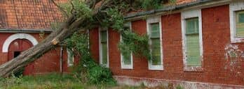 Sturmschaden: Versicherung zahlt nicht? So können Sie an Ihr Geld kommen